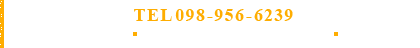 TEL098-956-6239